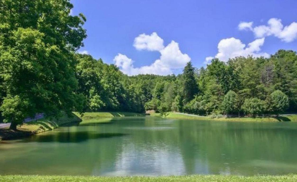 Mountain Lake Lodge, Hot Tub, Theater Room, 1089 Free Tickets Each Paid Day, Dollywood And More Сев'єрвілл Екстер'єр фото