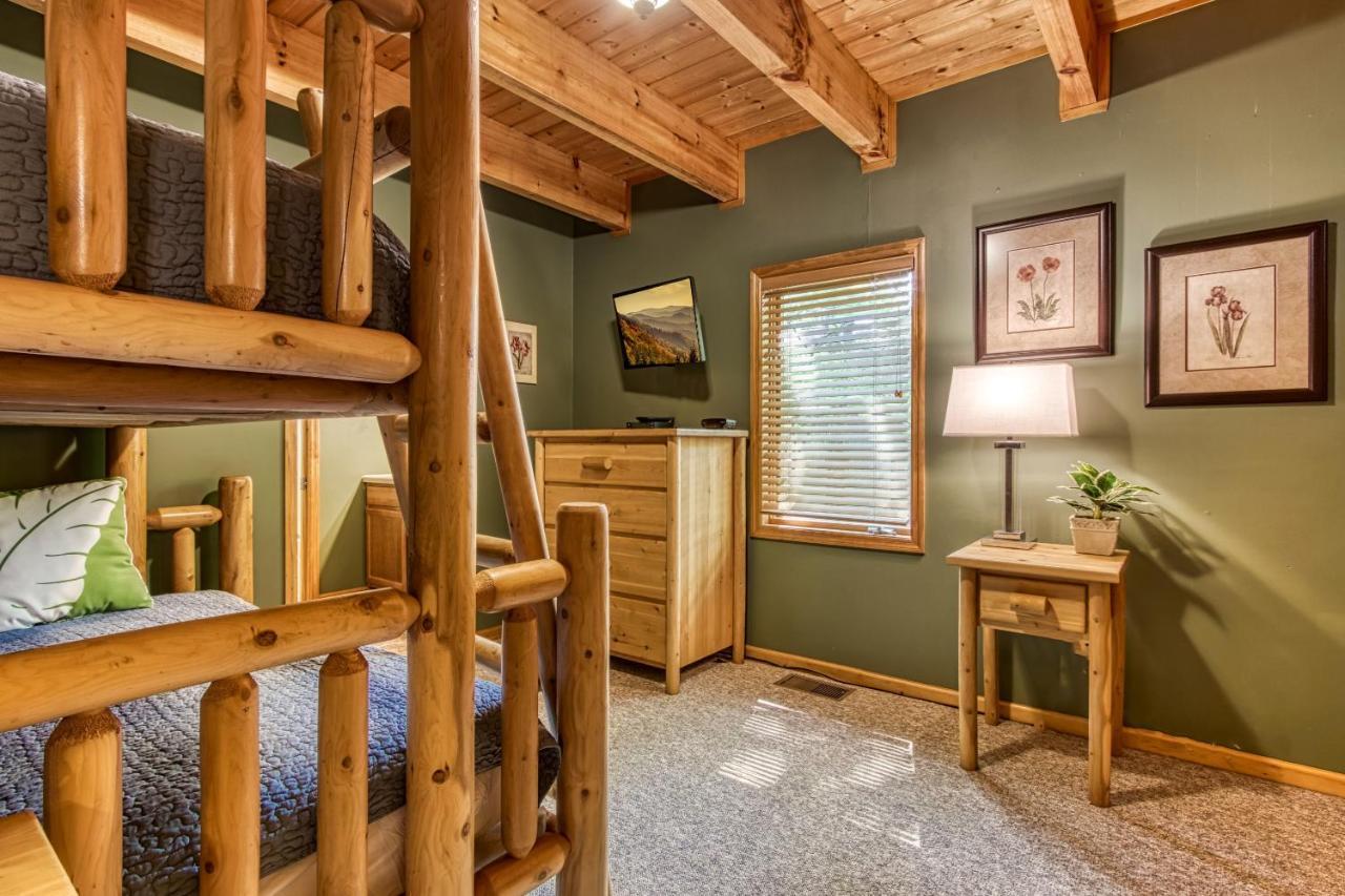 Mountain Lake Lodge, Hot Tub, Theater Room, 1089 Free Tickets Each Paid Day, Dollywood And More Сев'єрвілл Екстер'єр фото