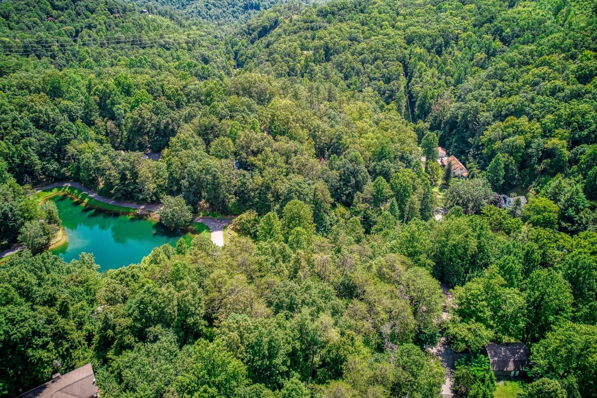 Mountain Lake Lodge, Hot Tub, Theater Room, 1089 Free Tickets Each Paid Day, Dollywood And More Сев'єрвілл Екстер'єр фото