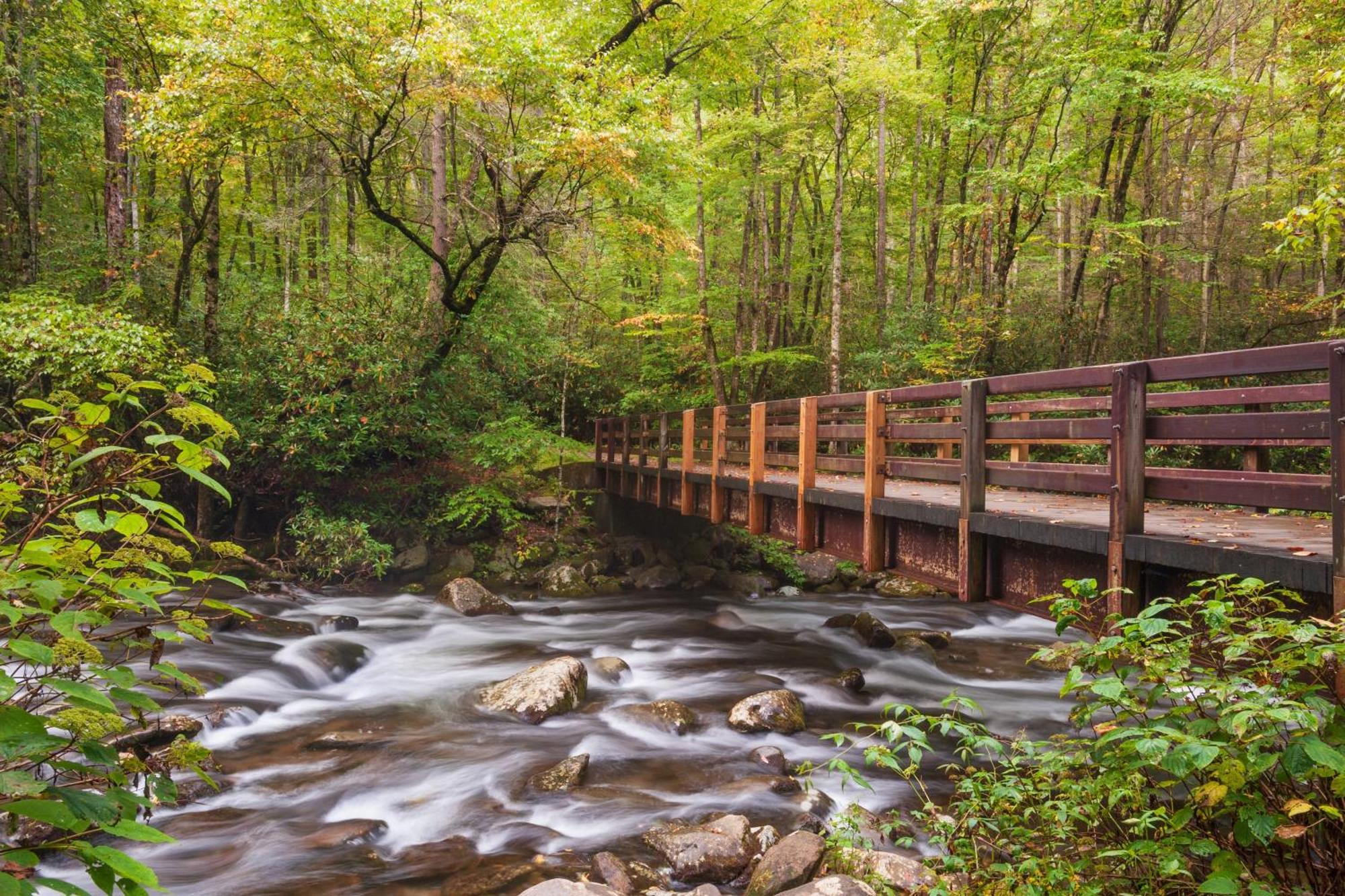 Mountain Lake Lodge, Hot Tub, Theater Room, 1089 Free Tickets Each Paid Day, Dollywood And More Сев'єрвілл Екстер'єр фото